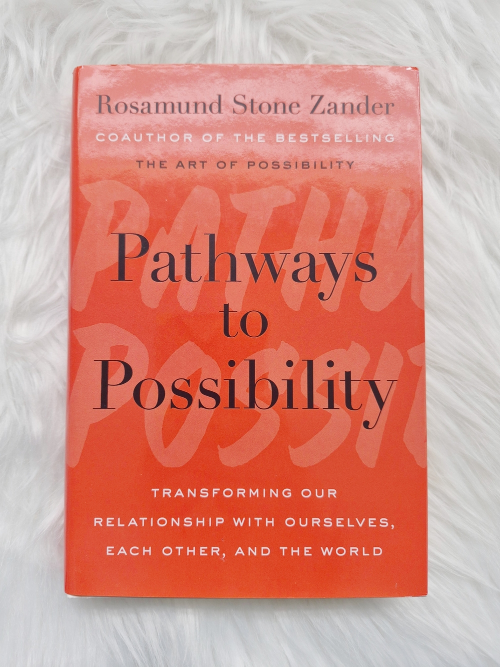 Pathways to Possibility by Rosamund Stone Zander